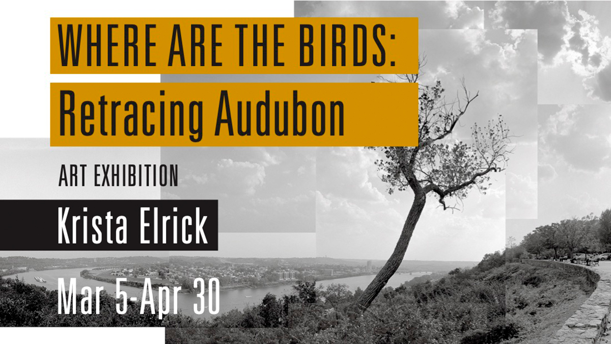 Where Are The Birds? Retracing Audubon